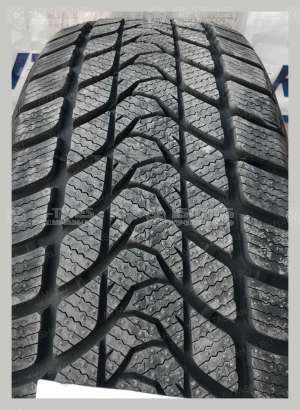 Delinte Winter WD1 205/65 R16 95T