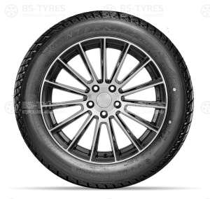 Doublestar DW01 195/55 R15 85T