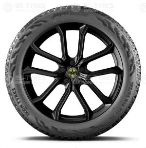 Ikon (Nokian Tyres) Autograph Snow 5 SUV 225/55 R18 102T