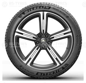 Michelin Pilot Alpin 5 SUV 255/55 R18 109V