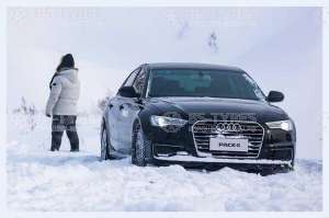 Pace Antarctica 5+ 205/55 R16 91H