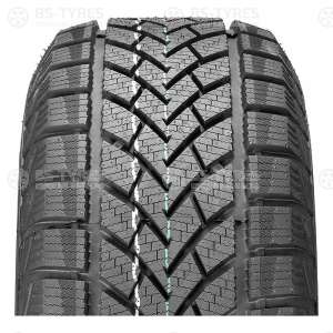 Windforce Snowblazer 195/65 R15 91H